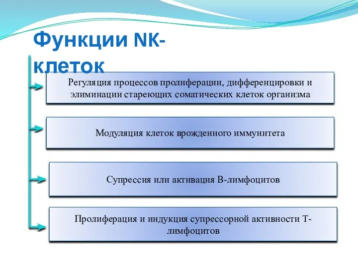 Регуляция процессов пролиферации, дифференцировки и элиминации стареющих соматических клеток организма Модуляция