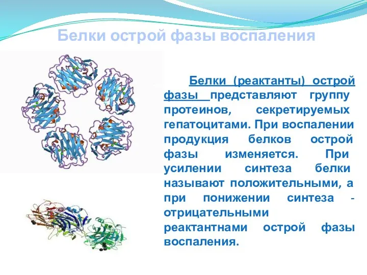 Белки острой фазы воспаления Белки (реактанты) острой фазы представляют группу протеинов,