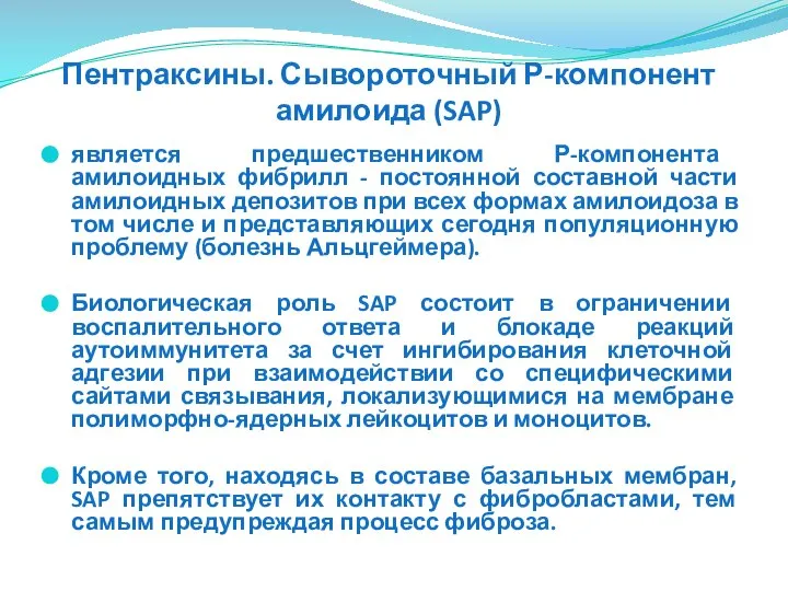 является предшественником Р-компонента амилоидных фибрилл - постоянной составной части амилоидных депозитов