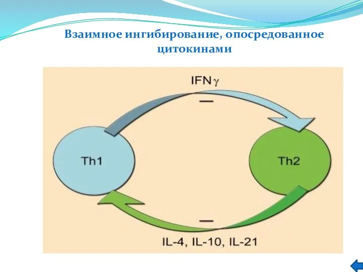 Взаимное ингибирование, опосредованное цитокинами