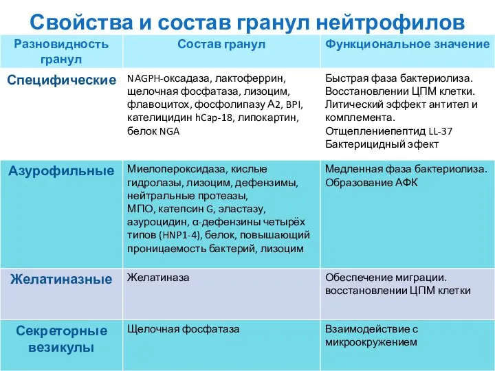 Свойства и состав гранул нейтрофилов