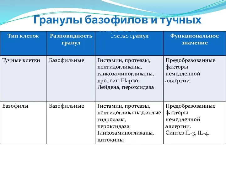 Гранулы базофилов и тучных клеток