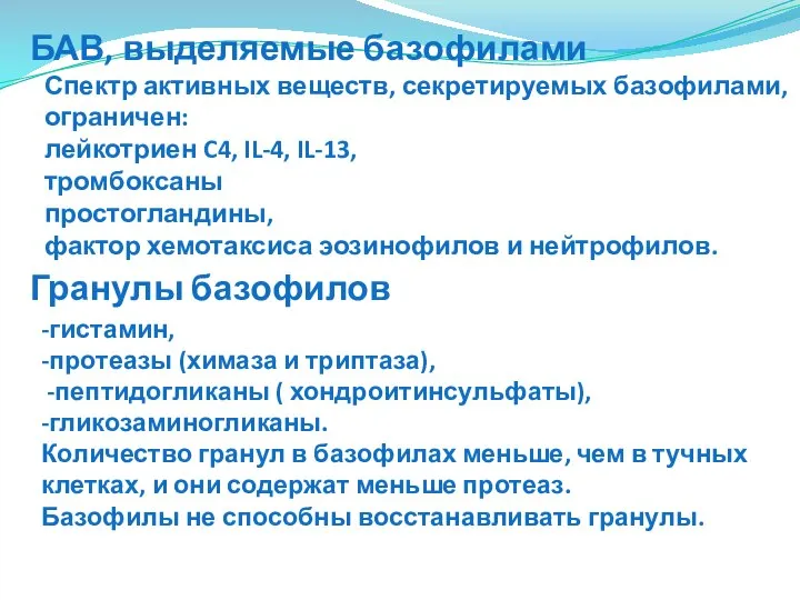 Спектр активных веществ, секретируемых базофилами, ограничен: лейкотриен C4, IL-4, IL-13, тромбоксаны