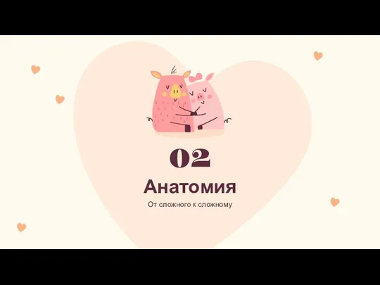 Анатомия 02 От сложного к сложному