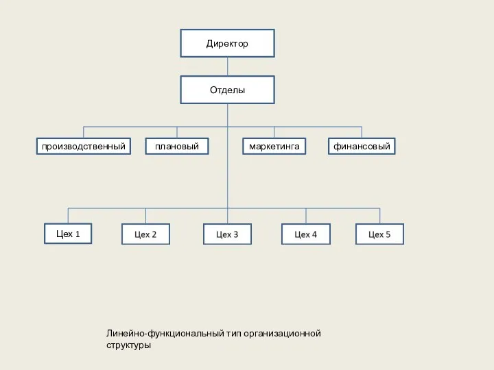 Директор Отделы производственный плановый маркетинга финансовый Цех 1 Линейно-функциональный тип организационной структуры