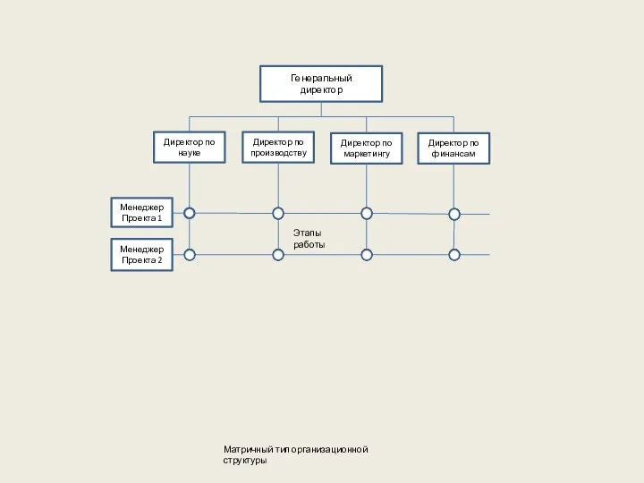 Матричный тип организационной структуры