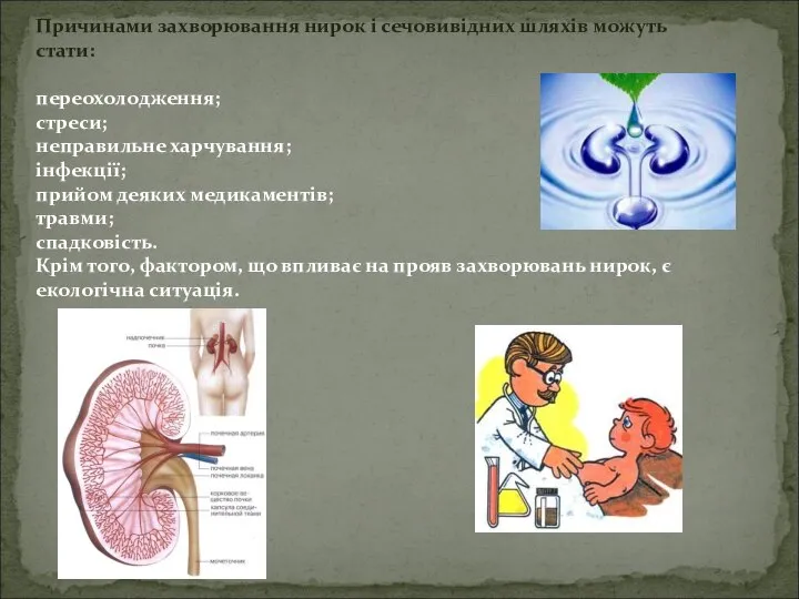 Причинами захворювання нирок і сечовивідних шляхів можуть стати: переохолодження; стреси; неправильне