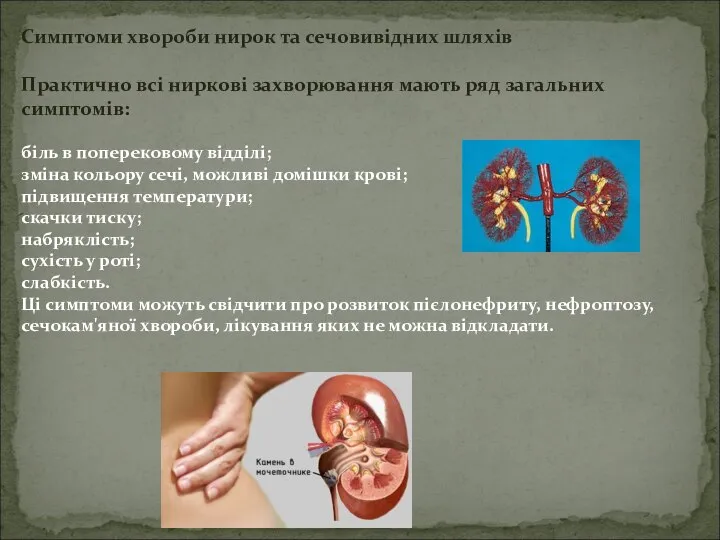 Симптоми хвороби нирок та сечовивідних шляхів Практично всі ниркові захворювання мають