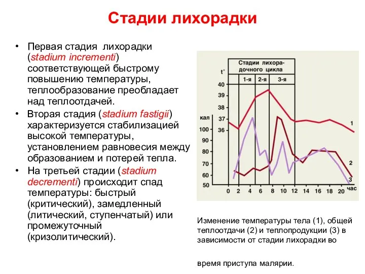 Стадии лихорадки Первая стадия лихорадки (stadium incrementi) соответствующей быстрому повышению температуры,