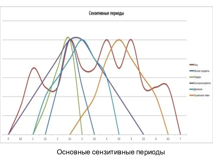 Основные сензитивные периоды