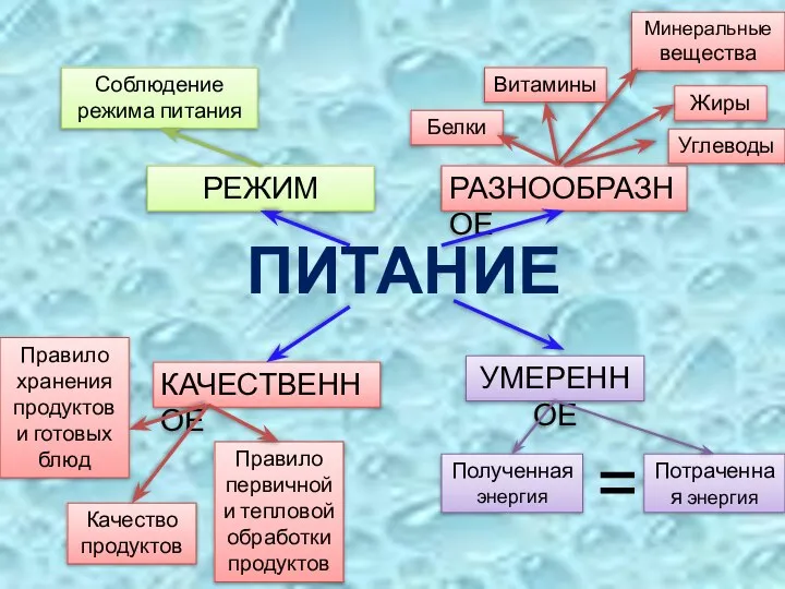 ПИТАНИЕ РАЗНООБРАЗНОЕ КАЧЕСТВЕННОЕ УМЕРЕННОЕ РЕЖИМ Белки Витамины Качество продуктов Углеводы Минеральные