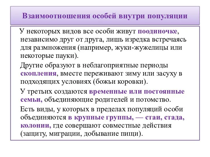 Взаимоотношения особей внутри популяции У некоторых видов все особи живут поодиночке,