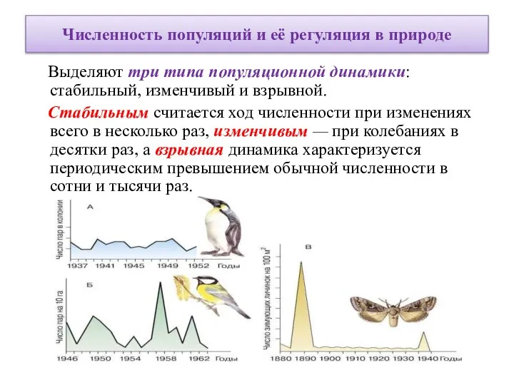 Численность популяций и её регуляция в природе Выделяют три типа популяционной