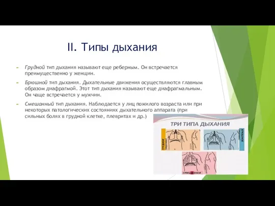 II. Типы дыхания Грудной тип дыхания называют еще реберным. Он встречается