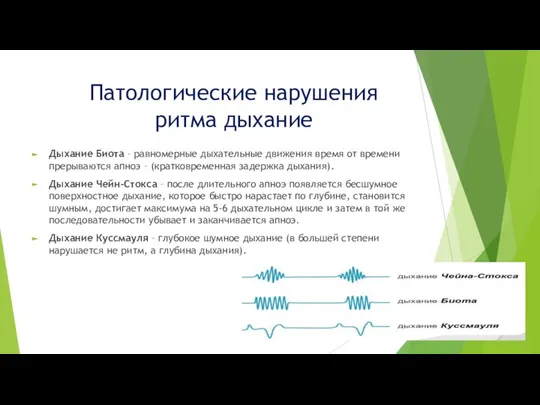 Патологические нарушения ритма дыхание Дыхание Биота – равномерные дыхательные движения время