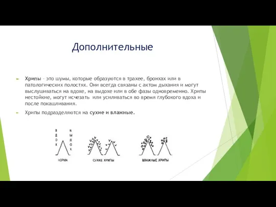 Дополнительные Хрипы – это шумы, которые образуются в трахее, бронхах или