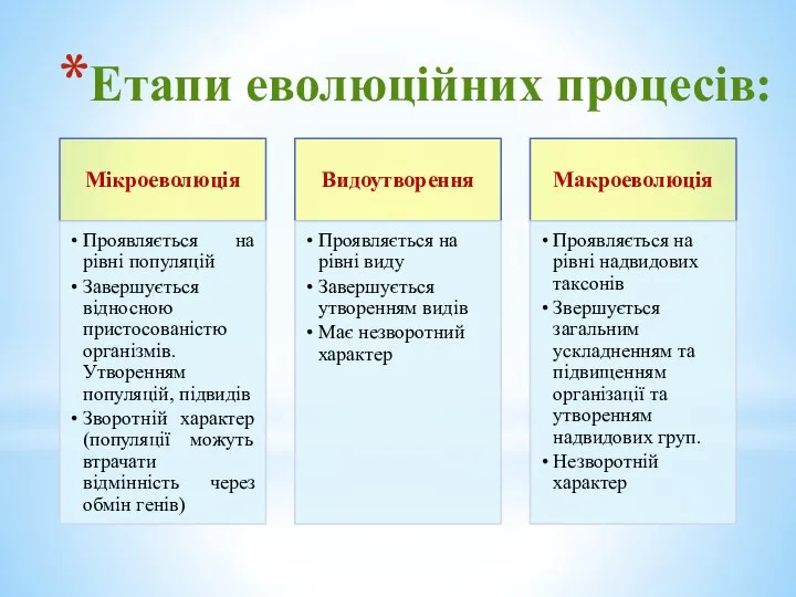 Етапи еволюційних процесів: