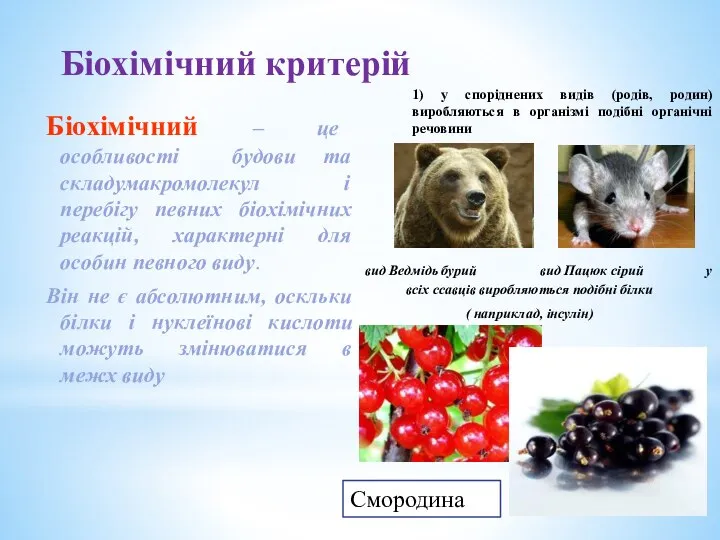 Біохімічний критерій Біохімічний – це особливості будови та складумакромолекул і перебігу