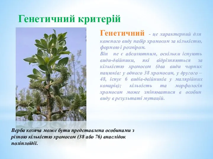 Генетичний критерій Генетичний - це характерний для кожного виду набір хромосом