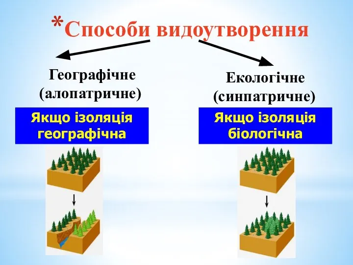 Способи видоутворення Географічне (алопатричне) Екологічне (синпатричне) Якщо ізоляція географічна Якщо ізоляція біологічна