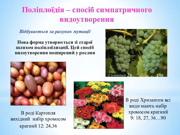 Відбувається за рахунок мутації Нова форма утворюється зі старої шляхом поліплоїдизації.