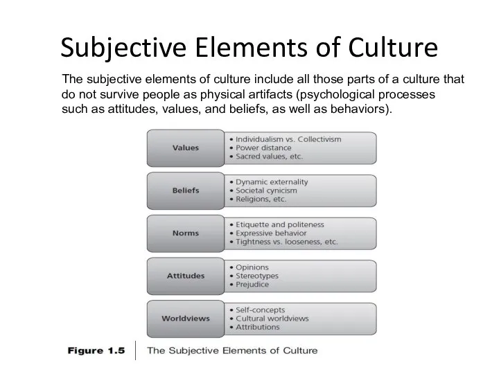 Subjective Elements of Culture The subjective elements of culture include all