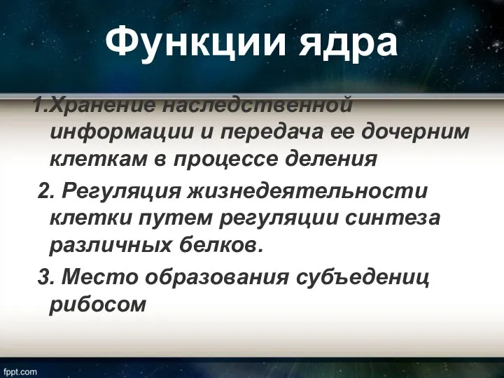 Функции ядра 1.Хранение наследственной информации и передача ее дочерним клеткам в