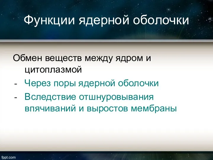 Функции ядерной оболочки Обмен веществ между ядром и цитоплазмой Через поры