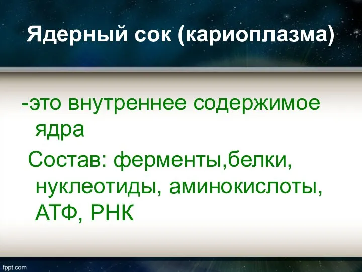 Ядерный сок (кариоплазма) -это внутреннее содержимое ядра Состав: ферменты,белки, нуклеотиды, аминокислоты, АТФ, РНК