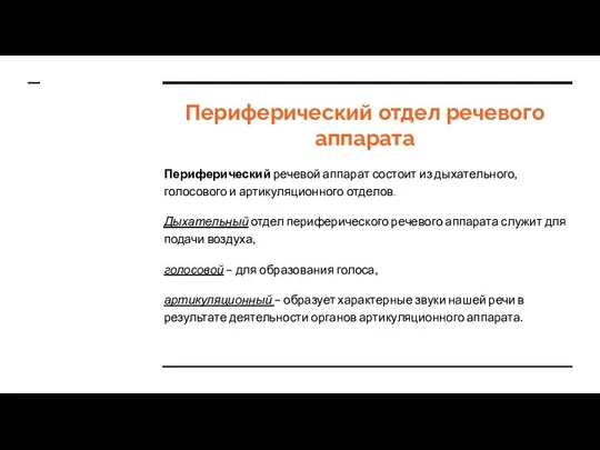 Периферический отдел речевого аппарата Периферический речевой аппарат состоит из дыхательного, голосового