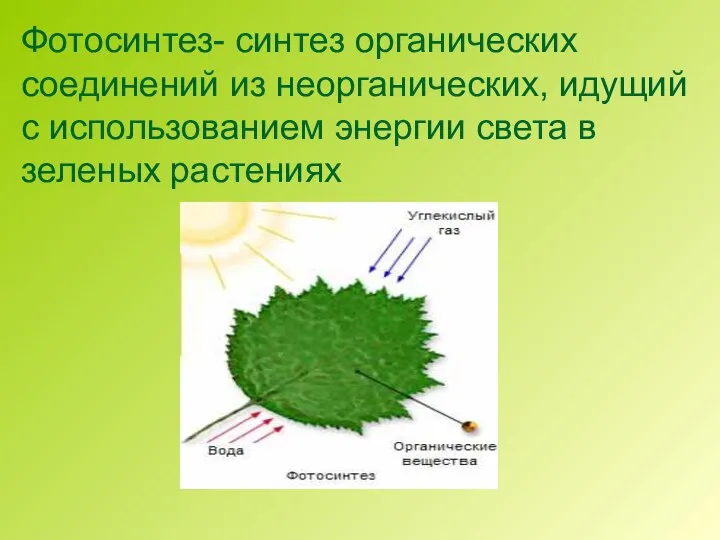 Фотосинтез- синтез органических соединений из неорганических, идущий с использованием энергии света в зеленых растениях