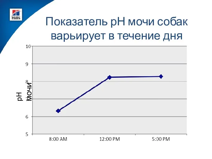 Показатель рН мочи собак варьирует в течение дня pH мочи