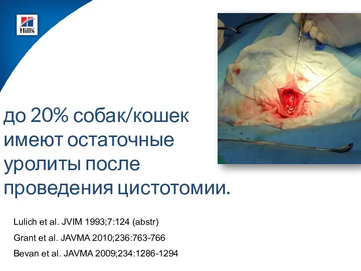 Lulich et al. JVIM 1993;7:124 (abstr) Grant et al. JAVMA 2010;236:763-766