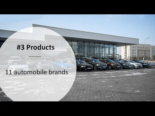 #3 Products 11 automobile brands