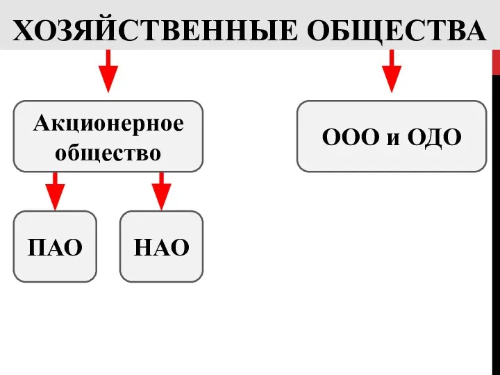 ХОЗЯЙСТВЕННЫЕ ОБЩЕСТВА ООО и ОДО ПАО НАО Акционерное общество