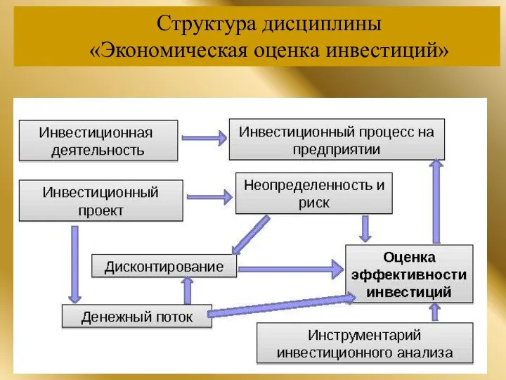 Структура дисциплины «Экономическая оценка инвестиций»