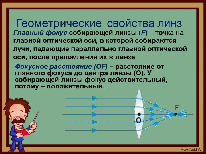 Геометрические свойства линз Главный фокус собирающей линзы (F) – точка на