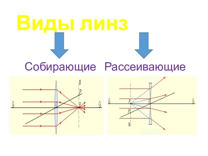 Виды линз Собирающие Рассеивающие