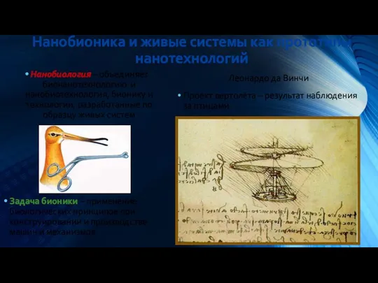 Нанобиология – объединяет бионанотехнологию и нанобиотехнология, бионику и технологии, разработанные по