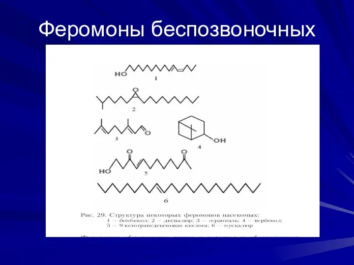 Феромоны беспозвоночных