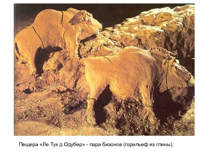 Пещера «Ле Тук д Одубер» - пара бизонов (горельеф из глины).