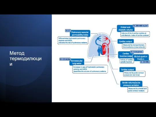 Метод термодилюции