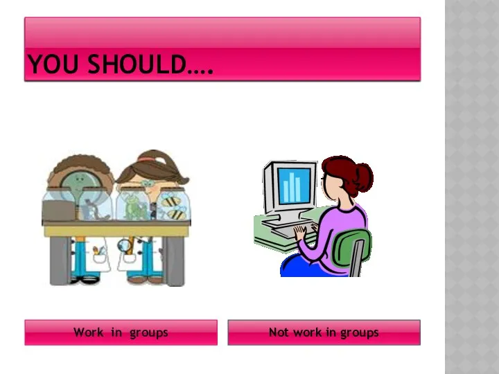 YOU SHOULD…. Work in groups Not work in groups