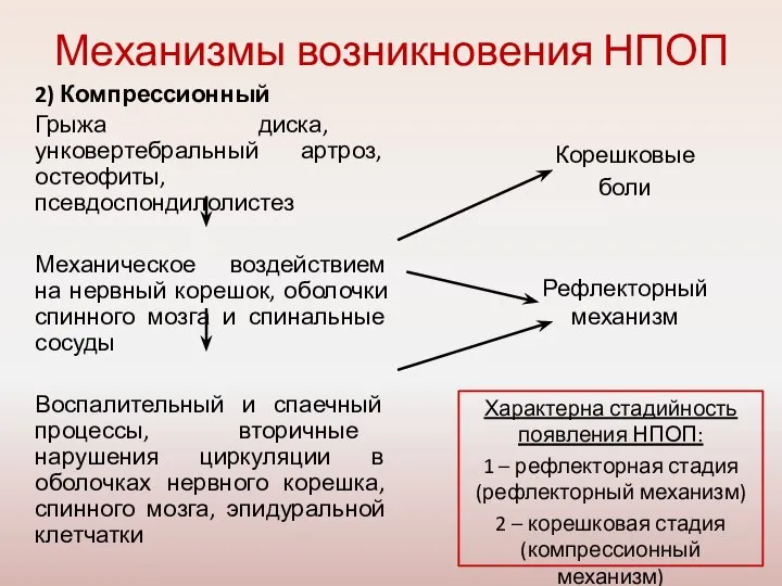 Механизмы возникновения НПОП 2) Компрессионный Грыжа диска, унковертебральный артроз, остеофиты, псевдоспондилолистез