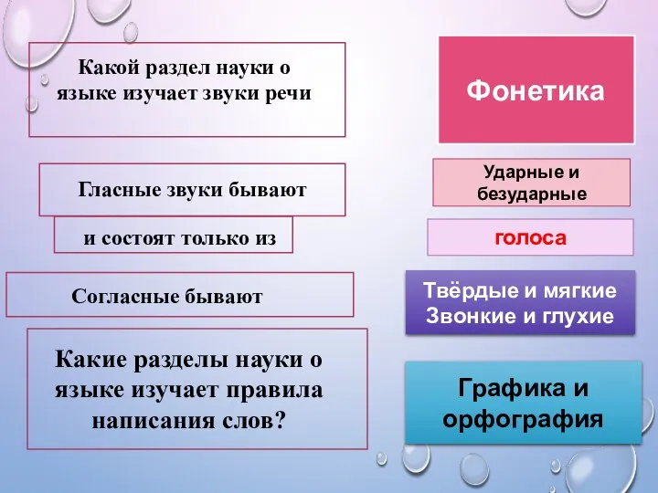 Графика и орфография Ударные и безударные Фонетика голоса Какой раздел науки