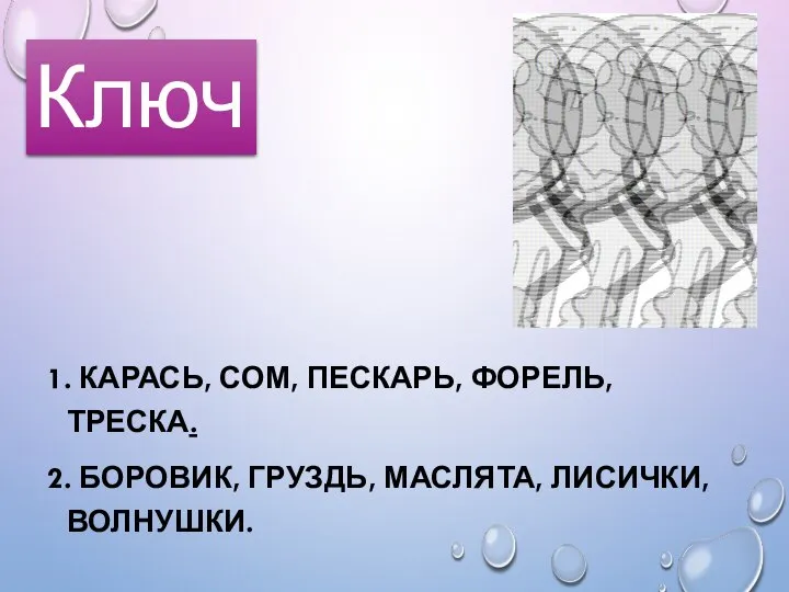 1. КАРАСЬ, СОМ, ПЕСКАРЬ, ФОРЕЛЬ, ТРЕСКА. 2. БОРОВИК, ГРУЗДЬ, МАСЛЯТА, ЛИСИЧКИ, ВОЛНУШКИ. Ключ