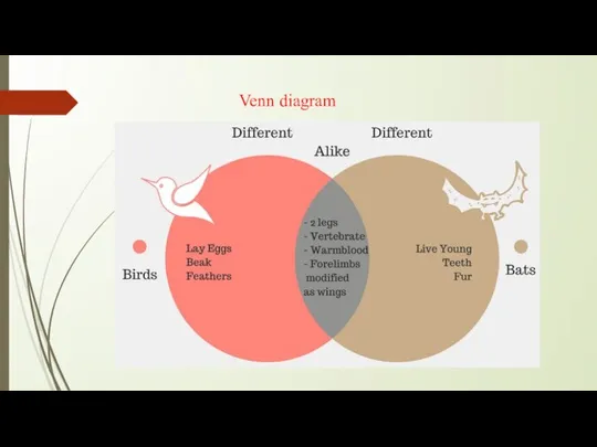 Venn diagram