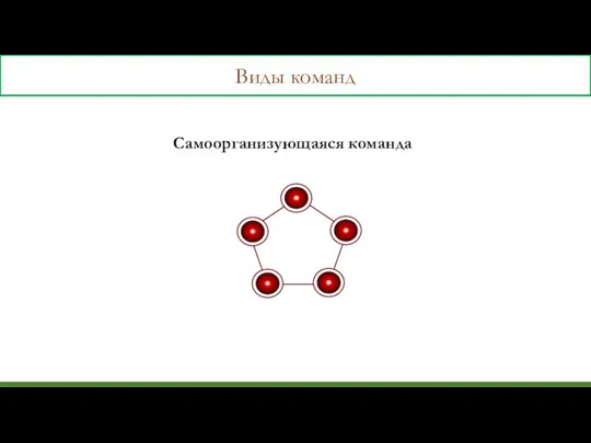 Самоорганизующаяся команда Виды команд