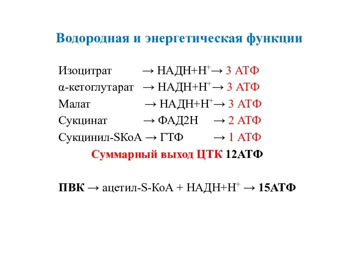 Водородная и энергетическая функции Изоцитрат → НАДН+Н+→ 3 АТФ α-кетоглутарат →