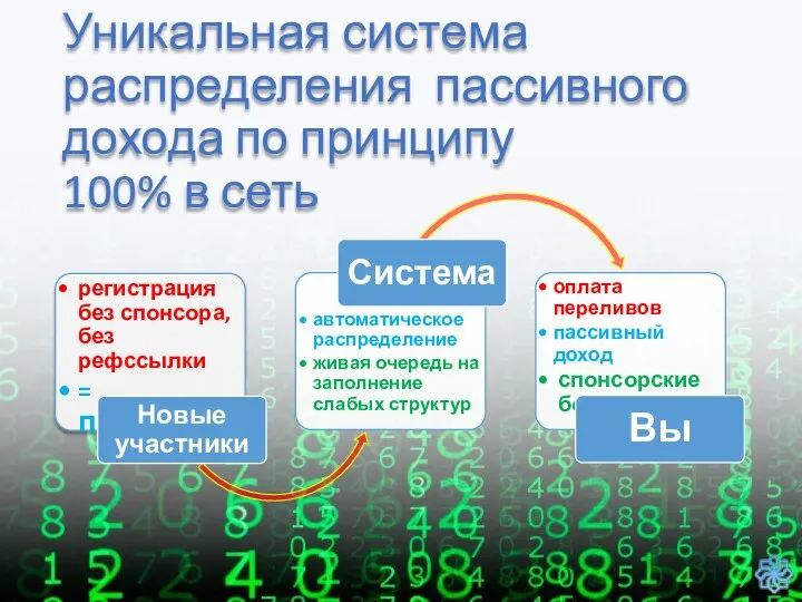 Уникальная система распределения пассивного дохода по принципу 100% в сеть